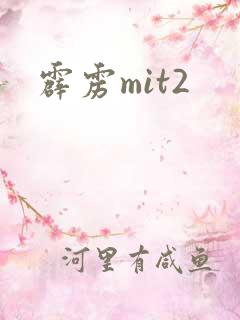 霹雳mit2