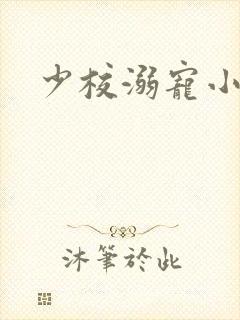 少校溺宠小小妻