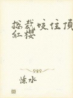 总裁咬住顶端的红樱