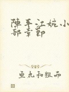 阵平江婉小说全部章节