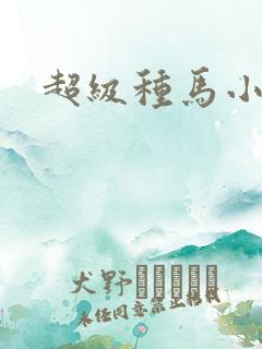 超级种马小说