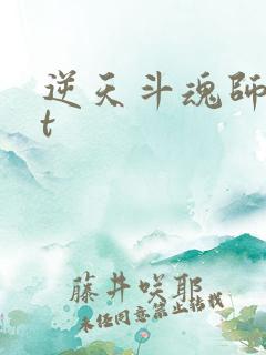 逆天斗魂师txt