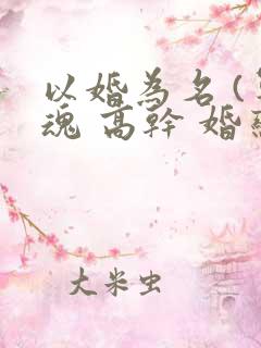 以婚为名 (军魂 高干 婚恋)