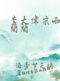 李大伟宋雨睛孙兰兰