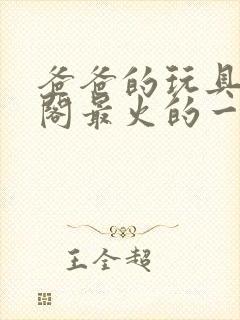 爸爸的玩具笔趣阁最火的一句