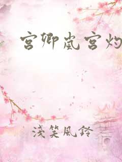 宫卿岚宫灼小说