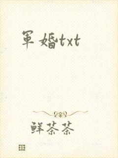 军婚txt