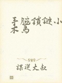 手腕锁链小黑屋木马