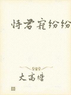 恃君宠纷纷和光