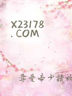 X23178 . COM