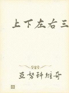 上下左右三侗岸