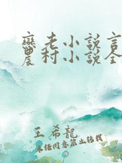 恋老小说言情网农村小说全文阅读