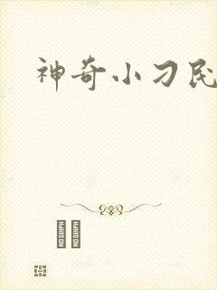 神奇小刁民