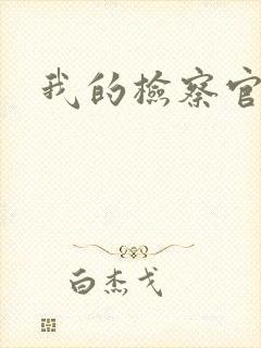 我的检察官先生