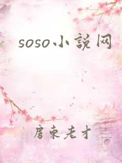 soso小说网