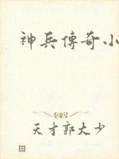 神兵传奇小说