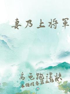 妻乃上将军下载