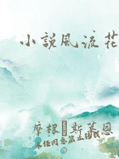 小说风流花少