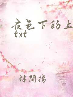 夜色下的上海滩 txt