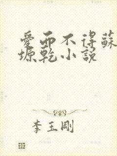 爱而不得苏路顾塬乾小说