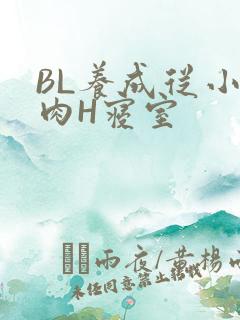 BL养成从小被肉H寝室