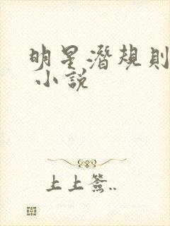 明星潜规则之皇 小说