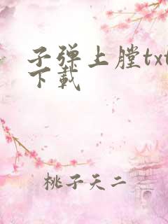 子弹上膛txt下载