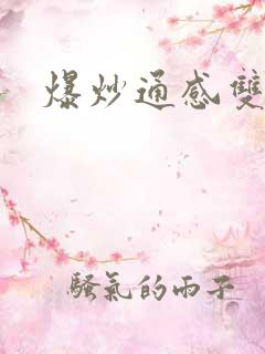 爆炒通感双胞胎