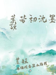 叶若初沈墨寒小说