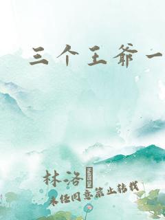 三个王爷一个妃