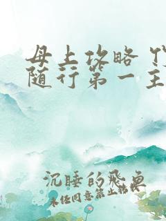 母上攻略 竹影随行第一主板