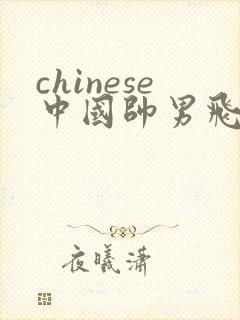 chinese中国帅男飞机