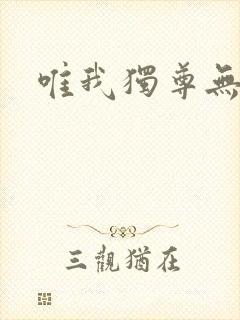 唯我独尊无弹窗