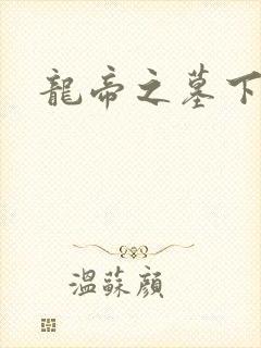 龙帝之墓下载