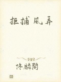 拒捕 风弄