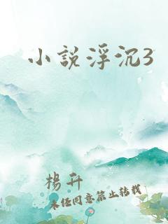 小说浮沉3