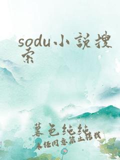 sodu小说搜索