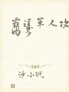 霸道军人攻现代肉多