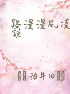 路漫漫风凌轩小说