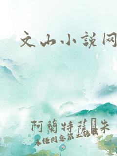 文山小说网