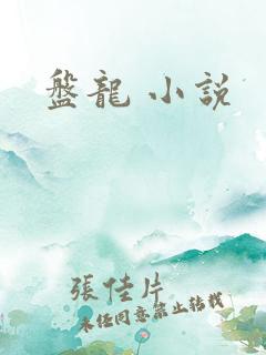 盘龙 小说