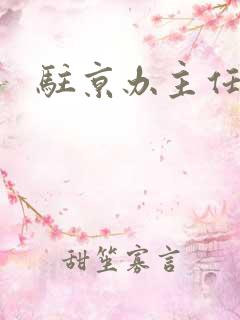 驻京办主任对手