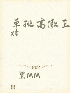 单挑高傲王子txt