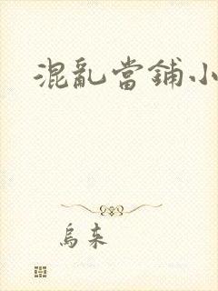 混乱当铺小说
