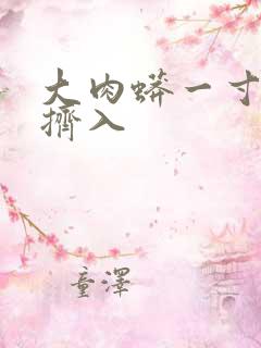 大肉蟒一寸一寸挤入