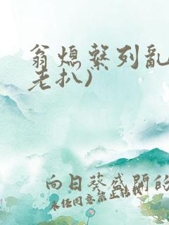 翁熄系列乱 (老扒)