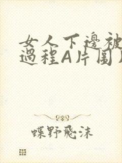 女人下边被添全过程A片图片小说