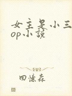 女主是小三的pop小说