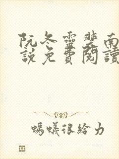 阮冬灵裴南曜小说免费阅读