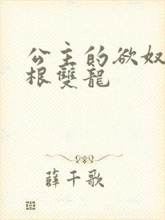 公主的欲奴h四根双龙